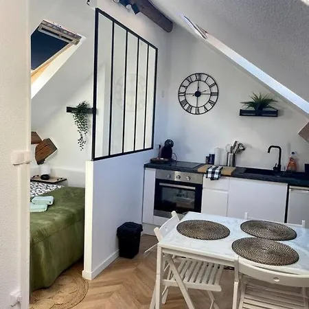 Le Dijonnais :Hyper Centre Historique/Moderne/Cosy